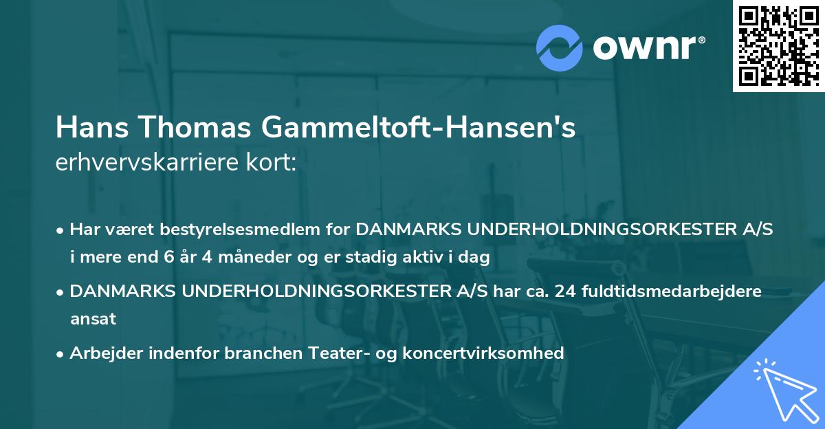 Hans Thomas Gammeltoft-Hansen's erhvervskarriere kort