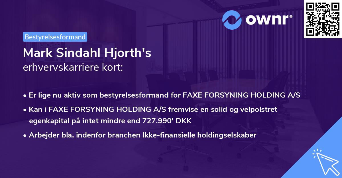 Mark Sindahl Hjorth's erhvervskarriere kort