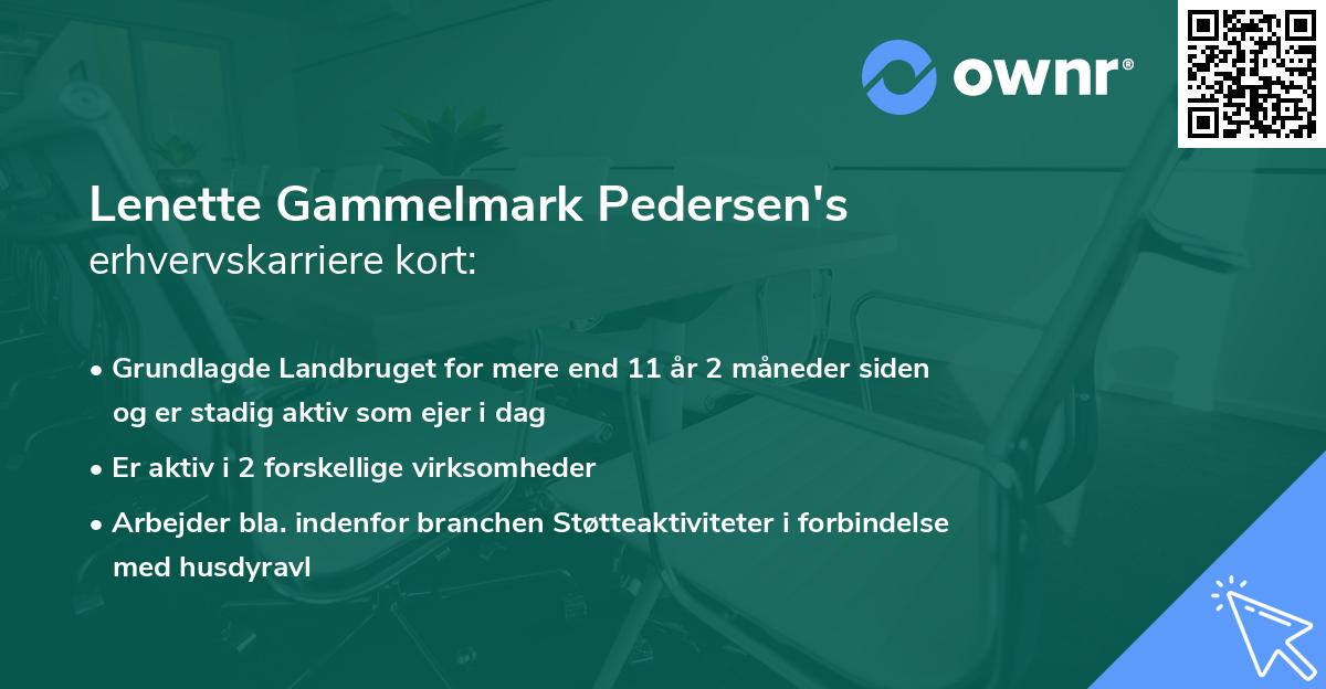 Lenette Gammelmark Pedersen's erhvervskarriere kort