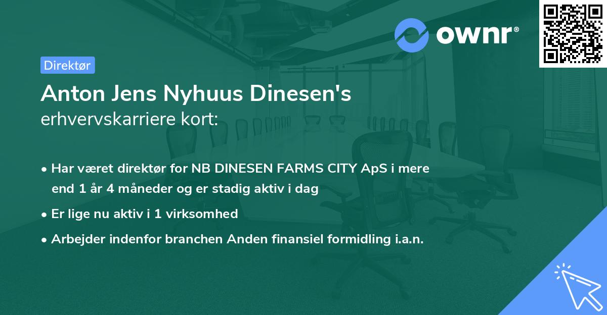Anton Jens Nyhuus Dinesen's erhvervskarriere kort