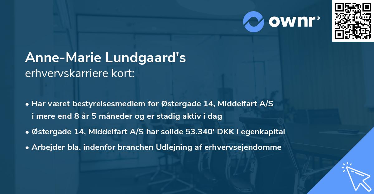 Anne-Marie Lundgaard's erhvervskarriere kort