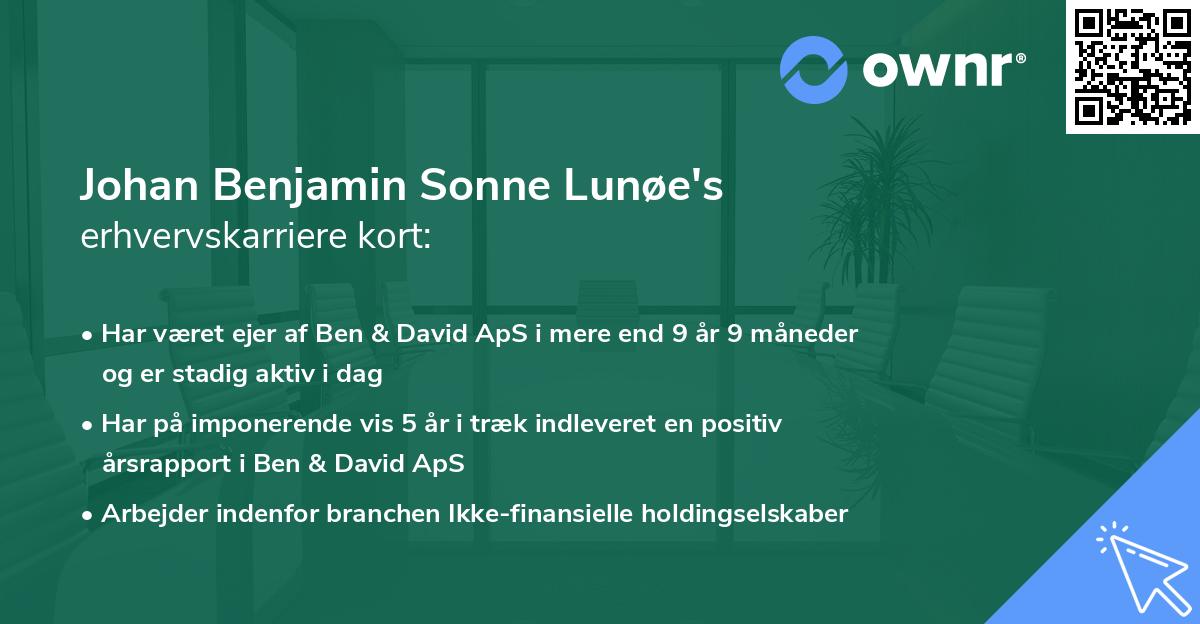 Johan Benjamin Sonne Lunøe's erhvervskarriere kort