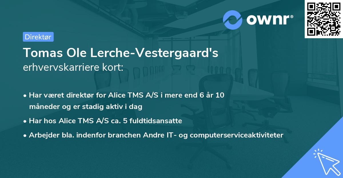 Tomas Ole Lerche-Vestergaard's erhvervskarriere kort