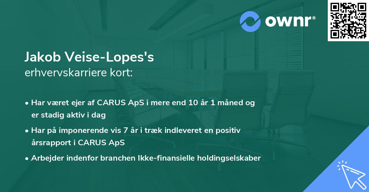 Jakob Veise-Lopes's erhvervskarriere kort