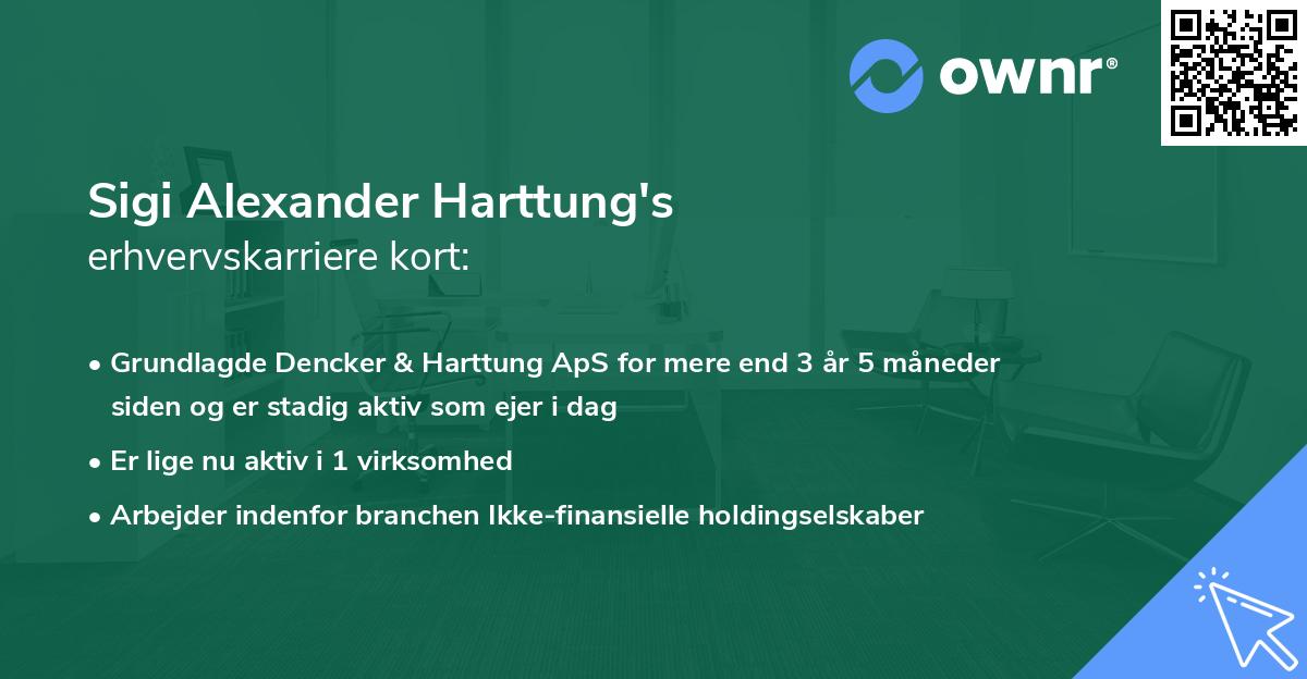 Sigi Alexander Harttung's erhvervskarriere kort