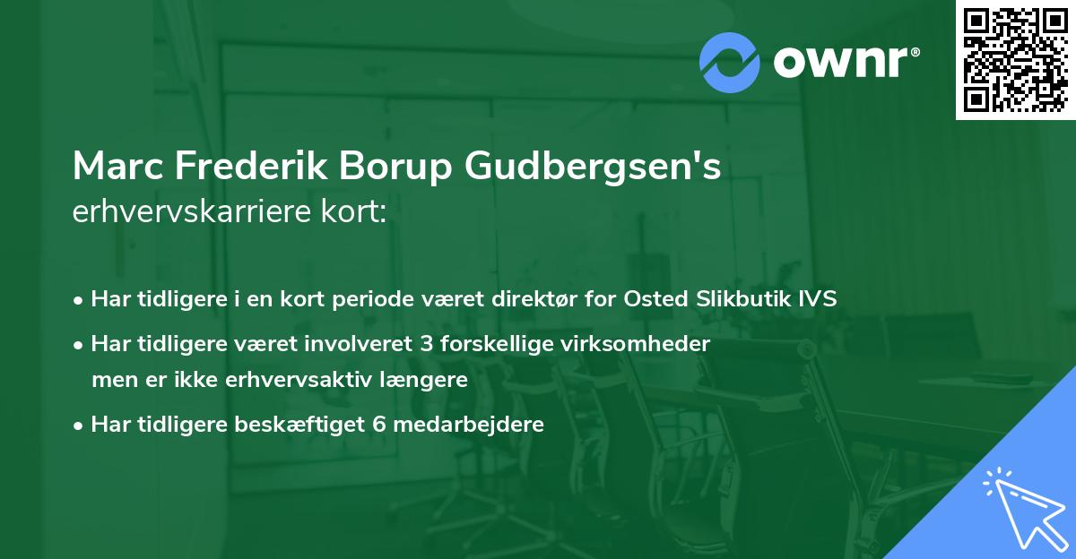 Marc Frederik Borup Gudbergsen's erhvervskarriere kort