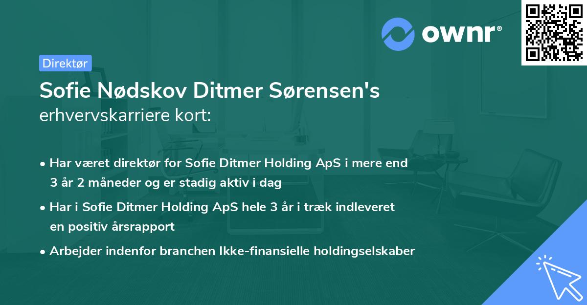 Sofie Nødskov Ditmer Sørensen's erhvervskarriere kort