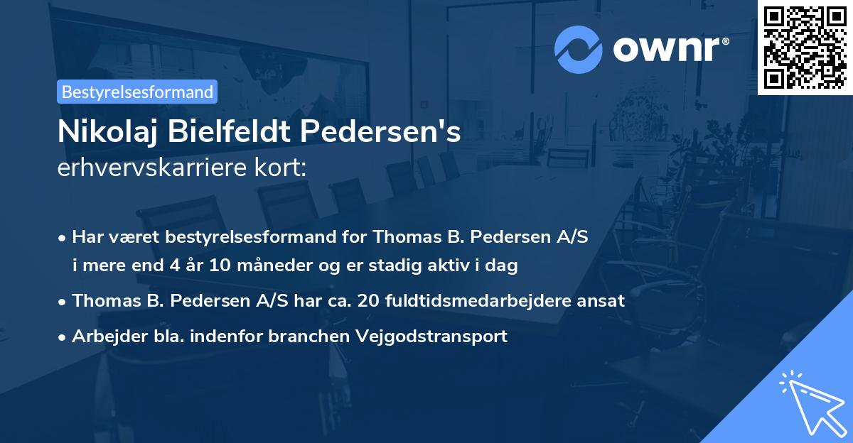 Nikolaj Bielfeldt Pedersen's erhvervskarriere kort