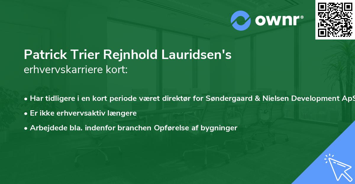 Patrick Trier Rejnhold Lauridsen's erhvervskarriere kort