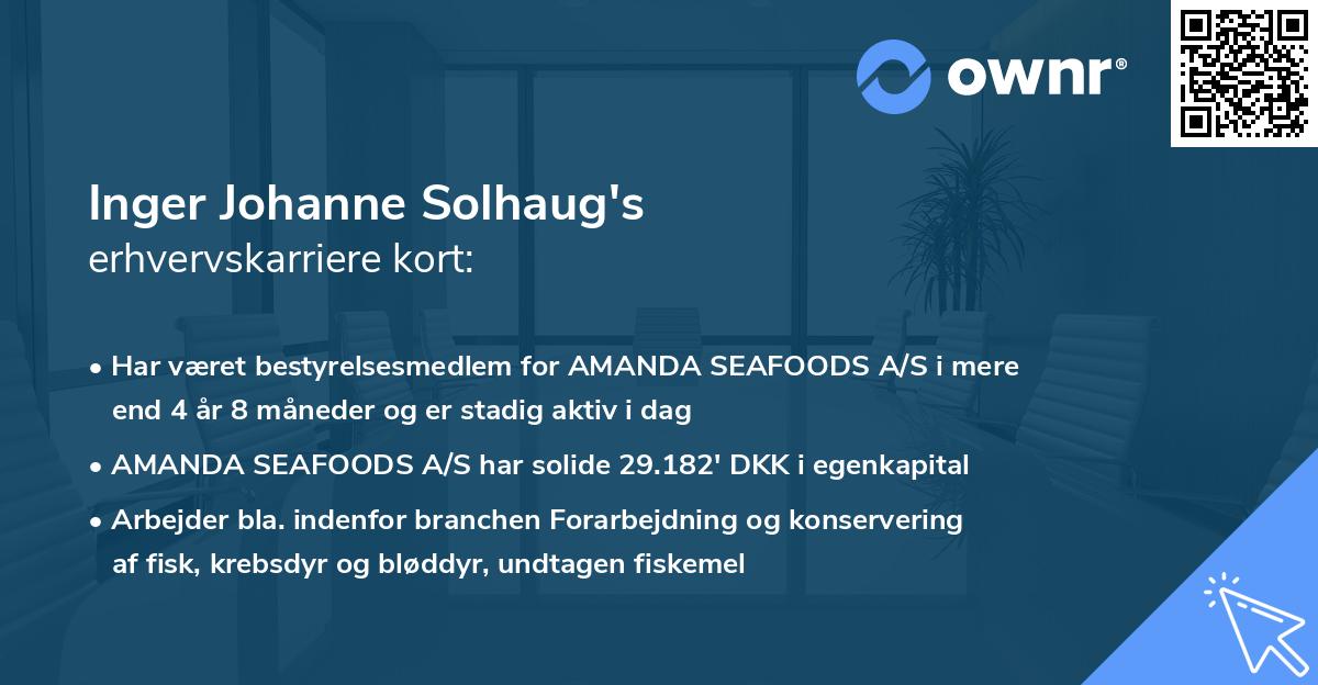 Inger Johanne Solhaug's erhvervskarriere kort