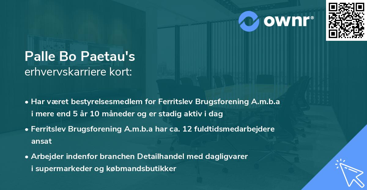 Palle Bo Paetau's erhvervskarriere kort