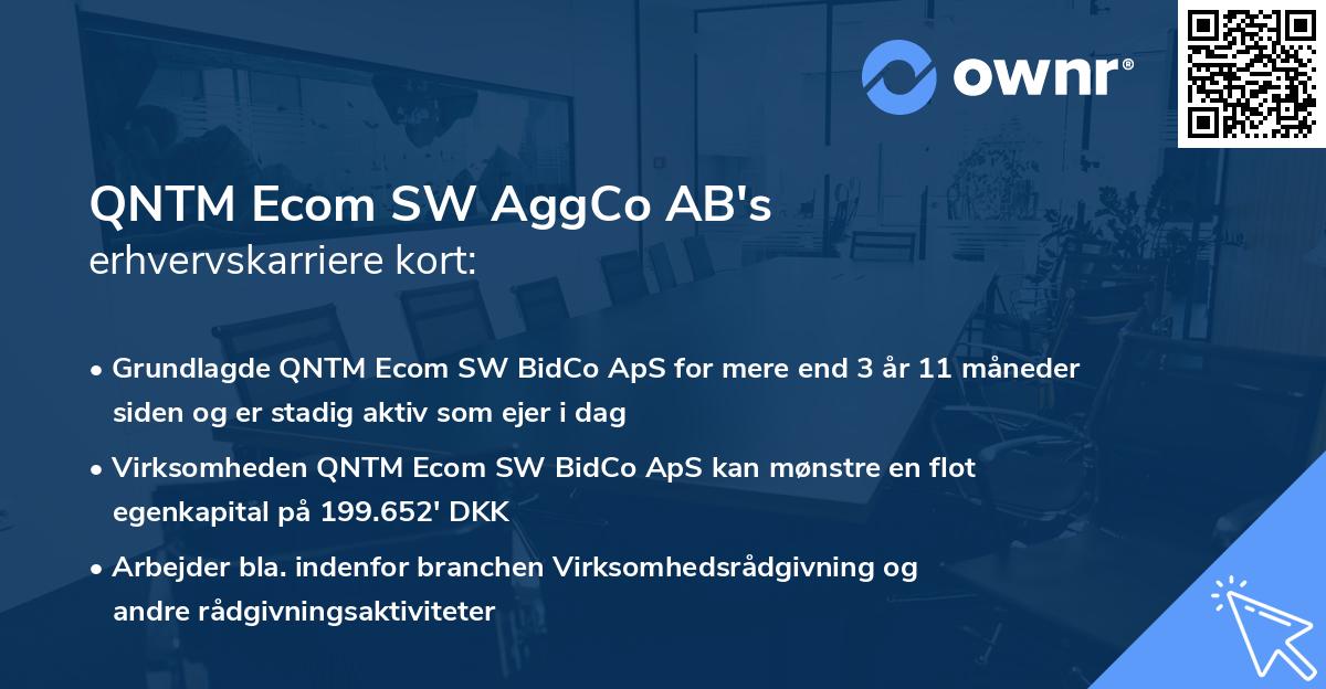 QNTM Ecom SW AggCo AB's erhvervskarriere kort