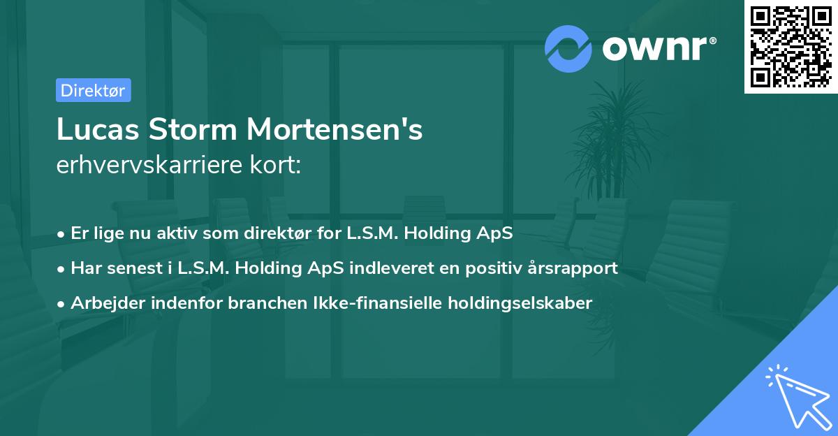 Lucas Storm Mortensen's erhvervskarriere kort