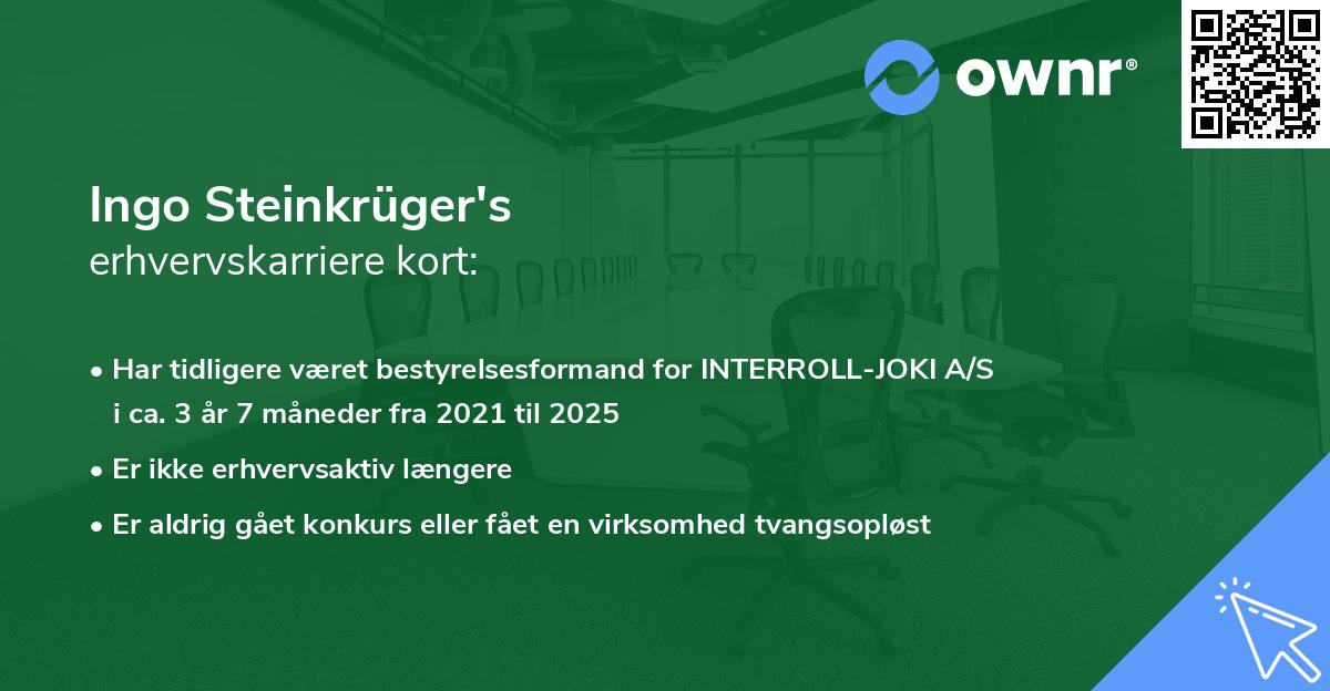 Ingo Steinkrüger's erhvervskarriere kort