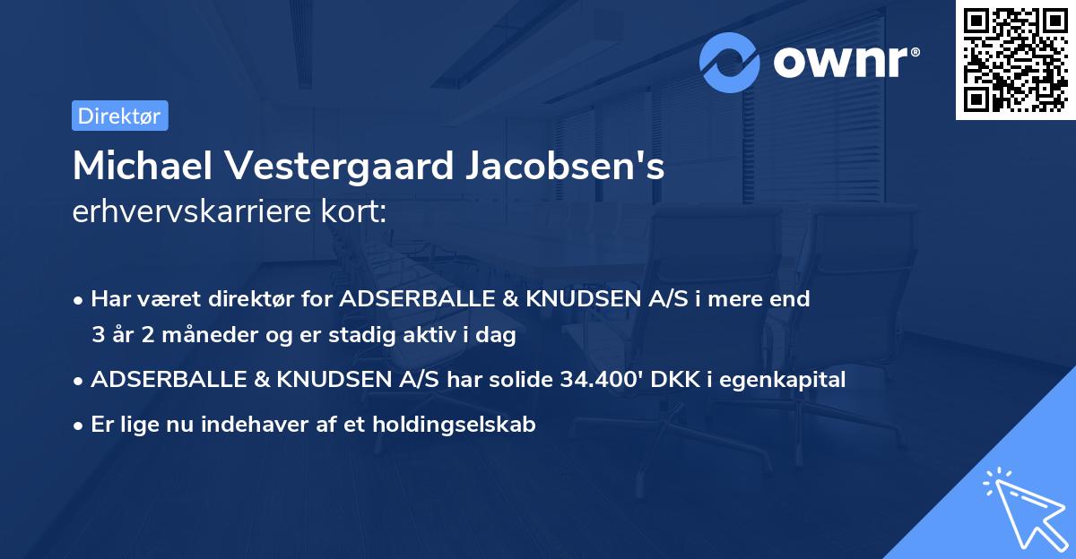 Michael Vestergaard Jacobsen's erhvervskarriere kort