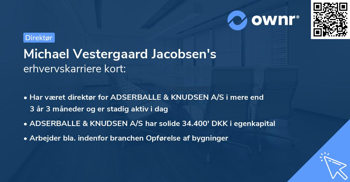 Michael Vestergaard Jacobsen's erhvervskarriere kort