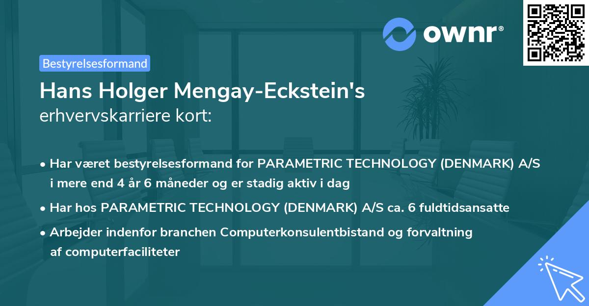 Hans Holger Mengay-Eckstein's erhvervskarriere kort