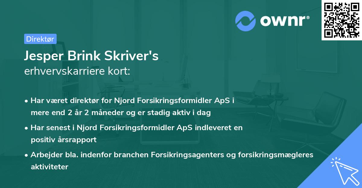Jesper Brink Skriver's erhvervskarriere kort