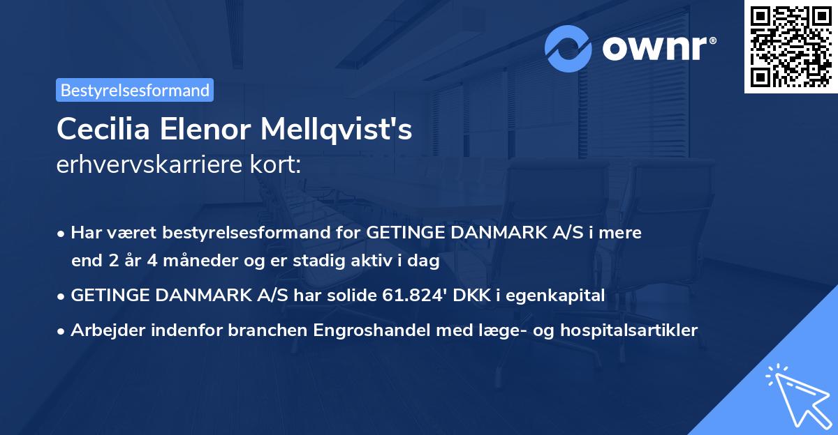Cecilia Elenor Mellqvist's erhvervskarriere kort