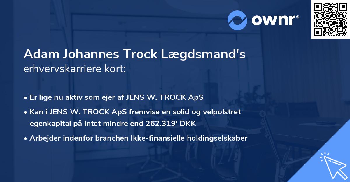 Adam Johannes Trock Lægdsmand's erhvervskarriere kort