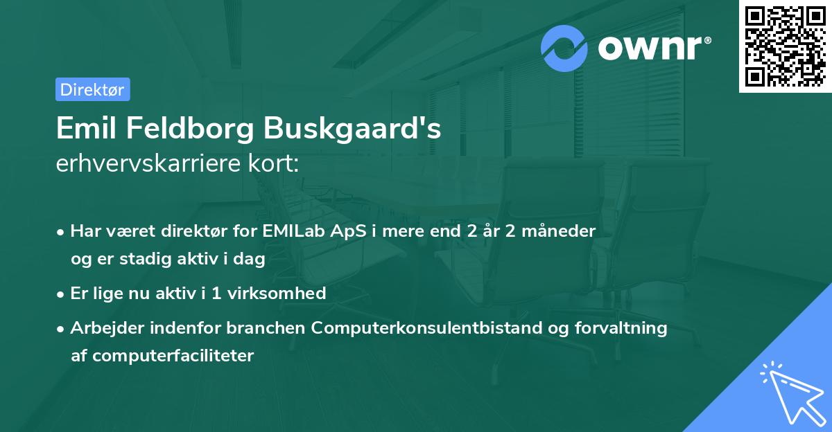 Emil Feldborg Buskgaard's erhvervskarriere kort