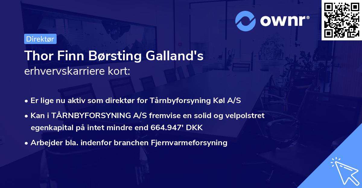 Thor Finn Børsting Galland's erhvervskarriere kort