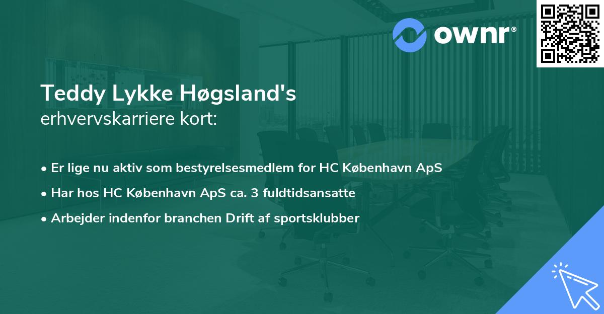 Teddy Lykke Høgsland's erhvervskarriere kort