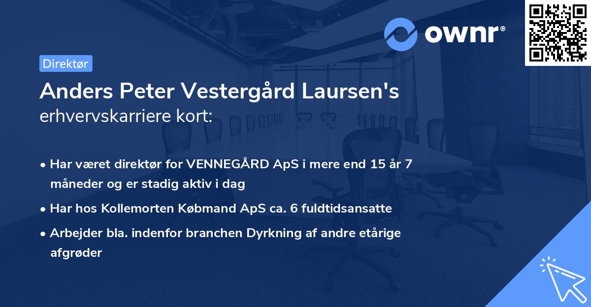 Anders Peter Vestergård Laursen's erhvervskarriere kort