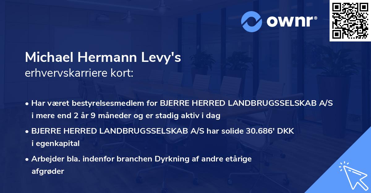 Michael Hermann Levy's erhvervskarriere kort