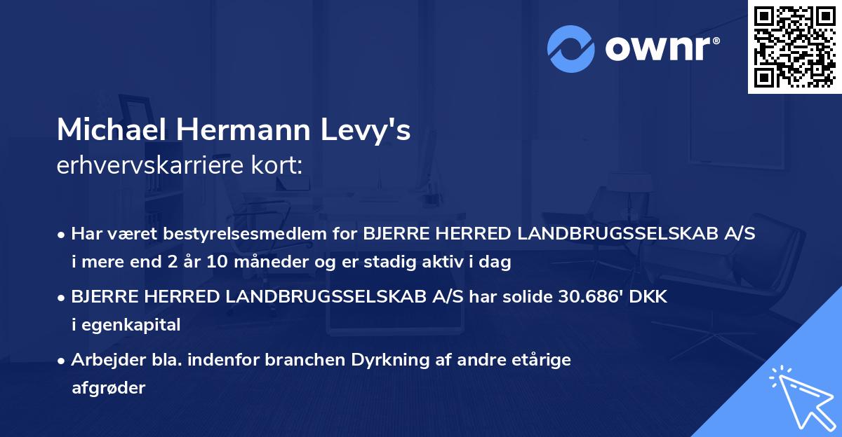 Michael Hermann Levy's erhvervskarriere kort