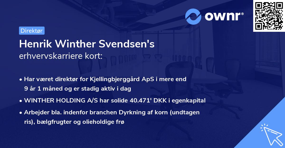 Henrik Winther Svendsen's erhvervskarriere kort