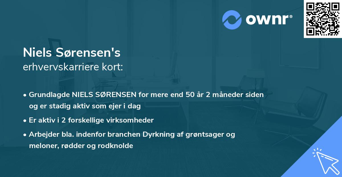 Niels Sørensen's erhvervskarriere kort