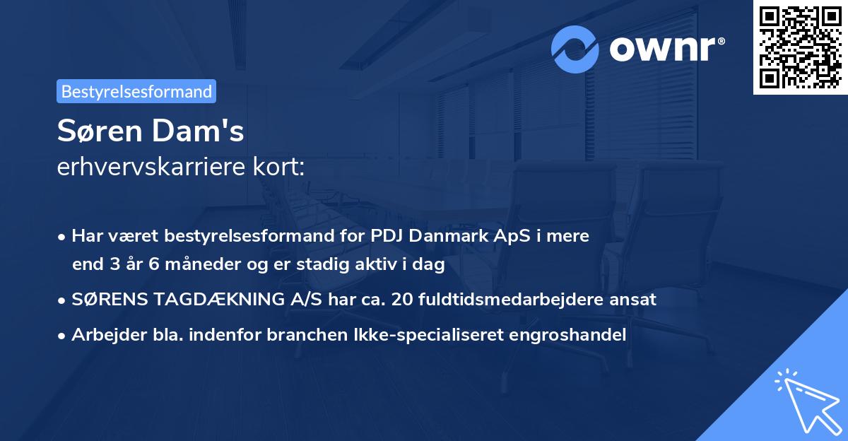 Søren Dam's erhvervskarriere kort
