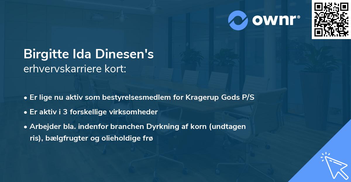 Birgitte Ida Dinesen's erhvervskarriere kort