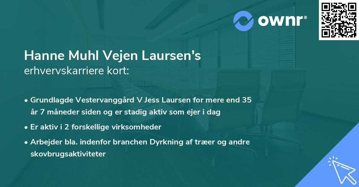 Hanne Muhl Vejen Laursen's erhvervskarriere kort