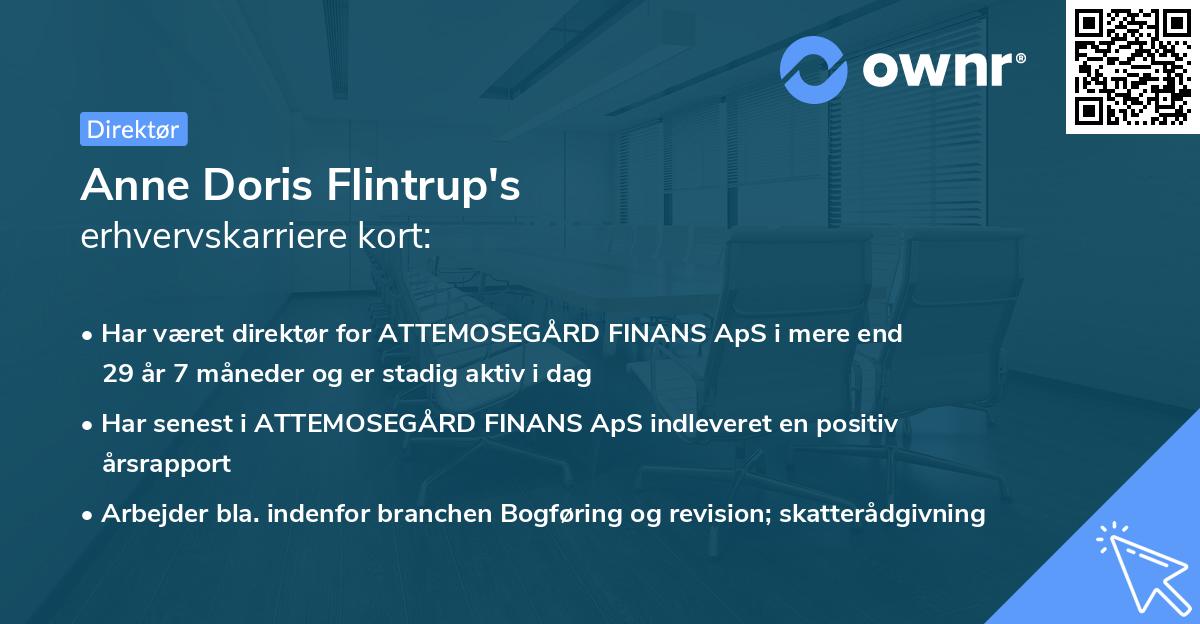 Anne Doris Flintrup's erhvervskarriere kort