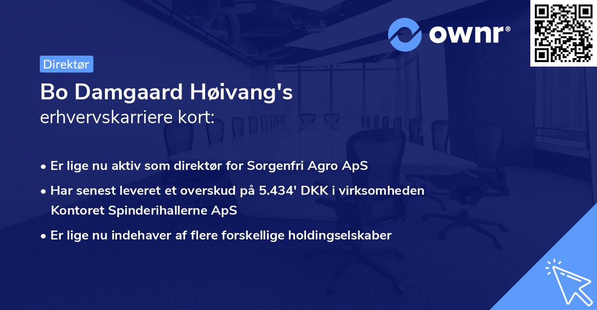 Bo Damgaard Høivang's erhvervskarriere kort