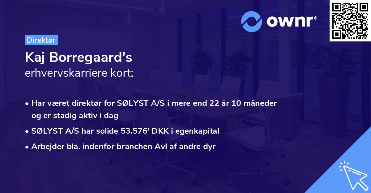 Kaj Borregaard's erhvervskarriere kort
