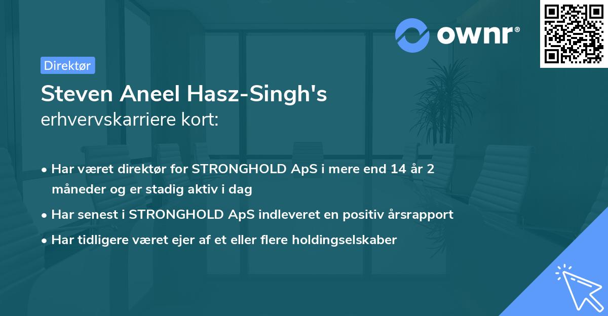 Steven Aneel Hasz-Singh's erhvervskarriere kort