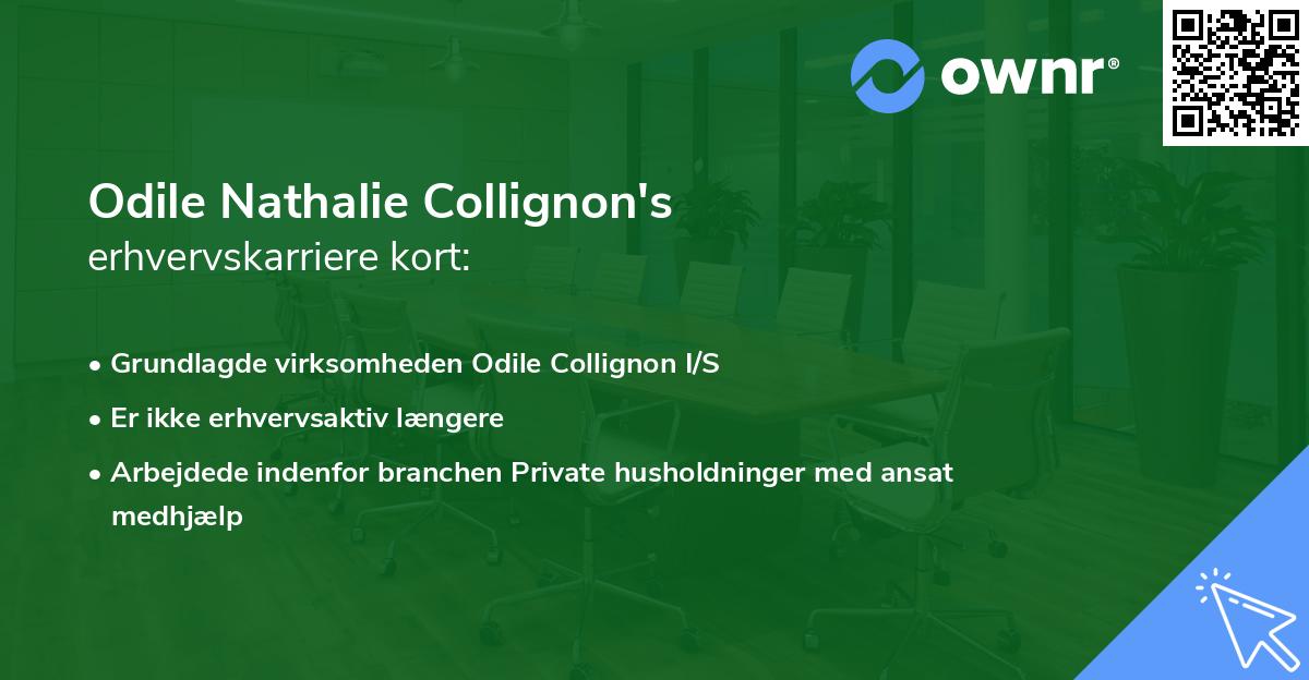 Odile Nathalie Collignon's erhvervskarriere kort