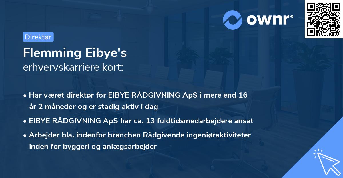 Flemming Eibye's erhvervskarriere kort