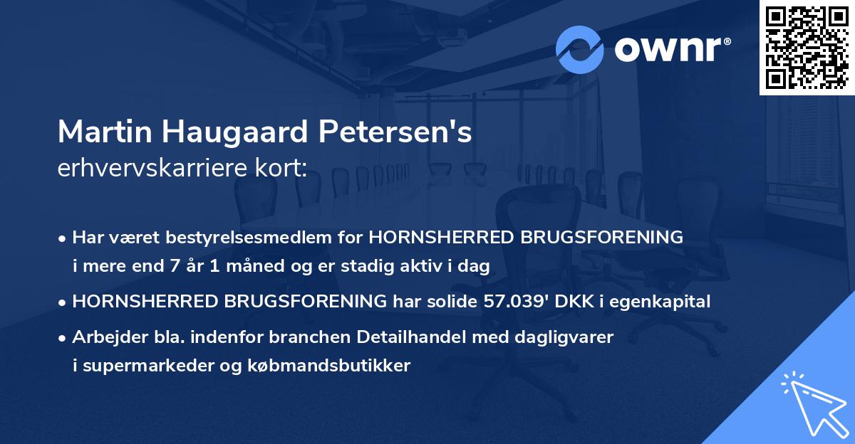 Martin Haugaard Petersen's erhvervskarriere kort