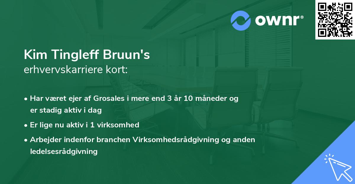 Kim Tingleff Bruun's erhvervskarriere kort