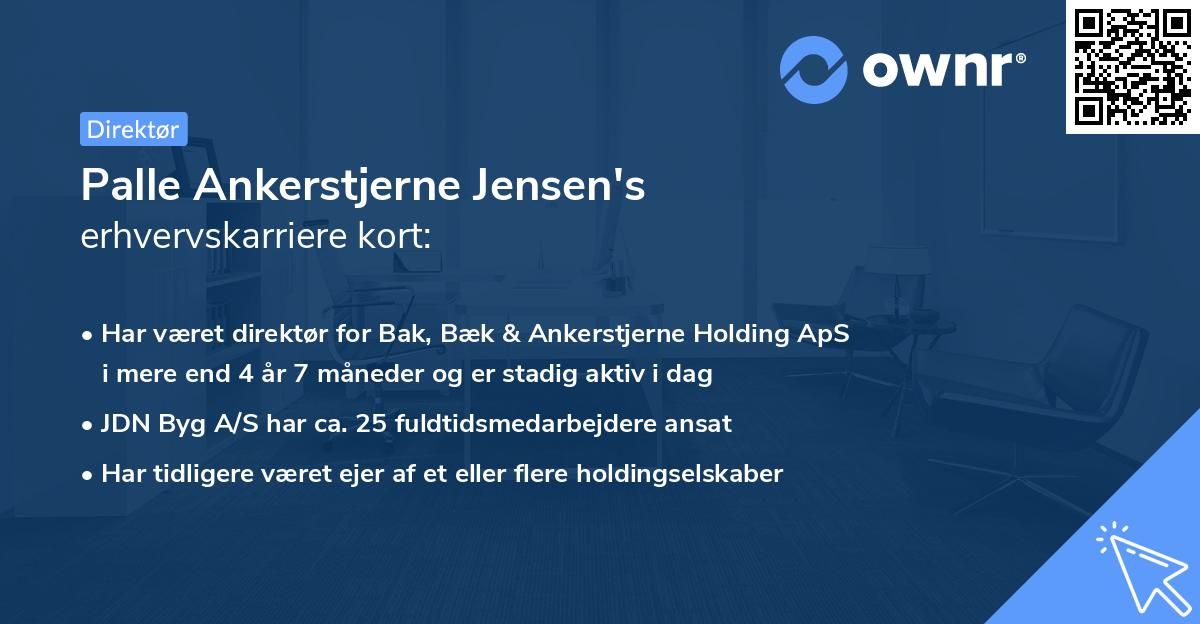 Palle Ankerstjerne Jensen's erhvervskarriere kort