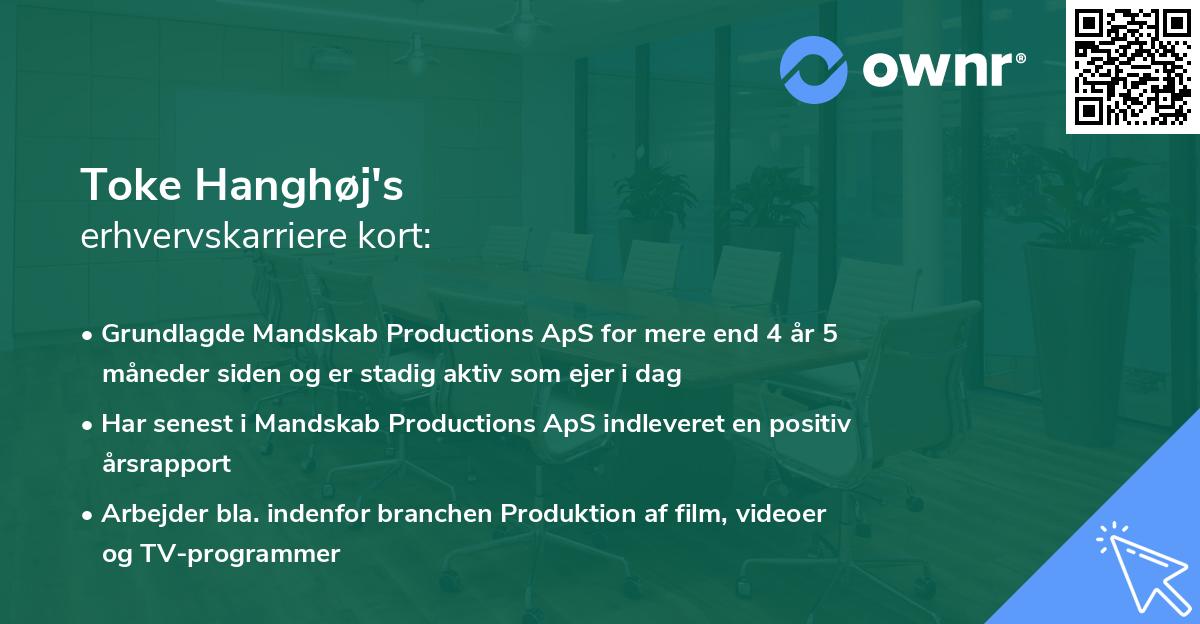 Toke Hanghøj's erhvervskarriere kort