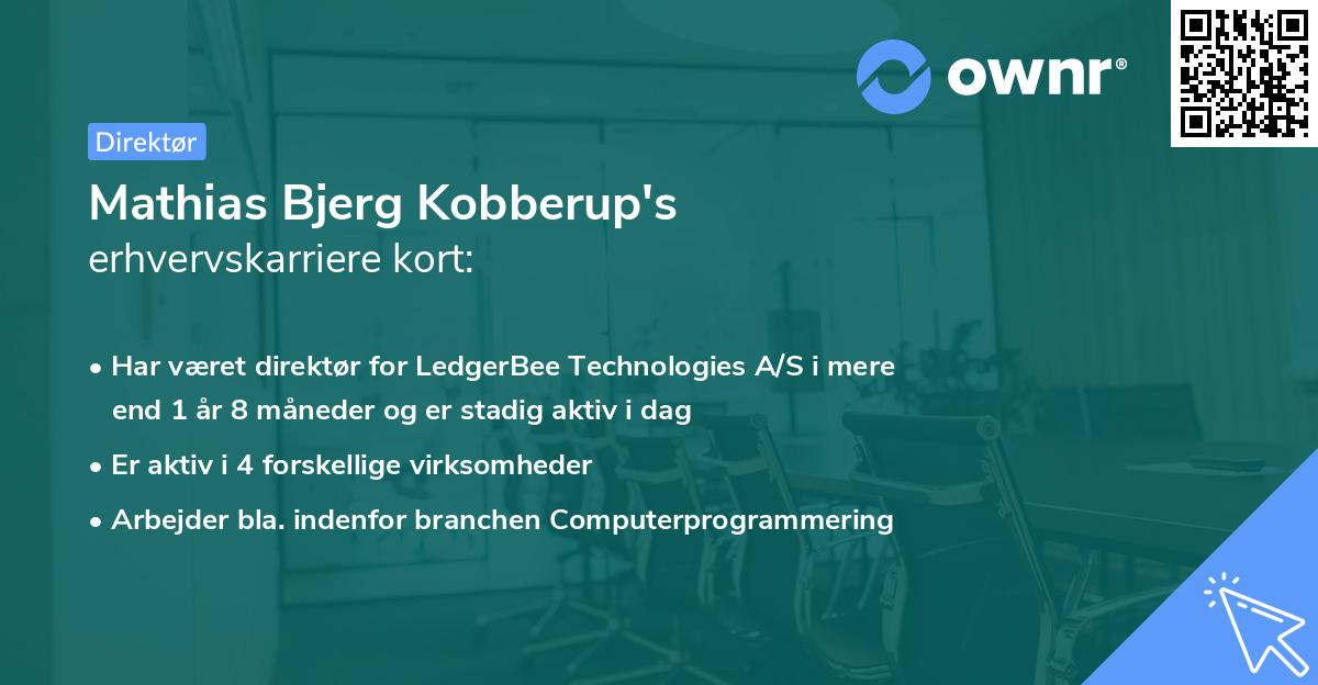 Mathias Bjerg Kobberup's erhvervskarriere kort