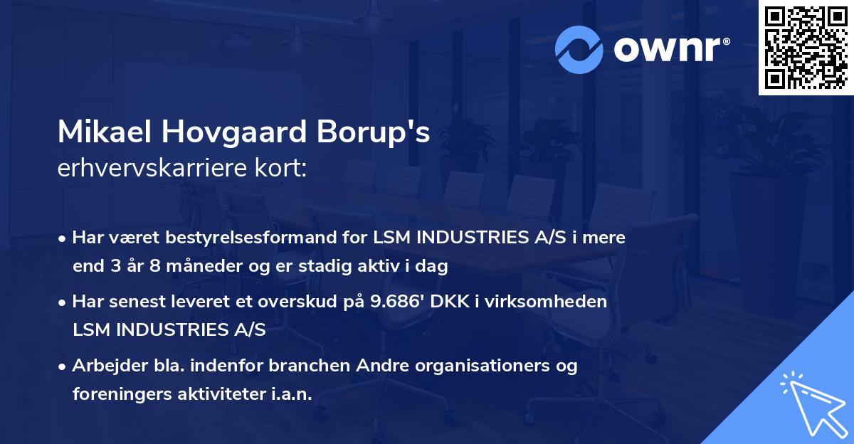 Mikael Hovgaard Borup's erhvervskarriere kort