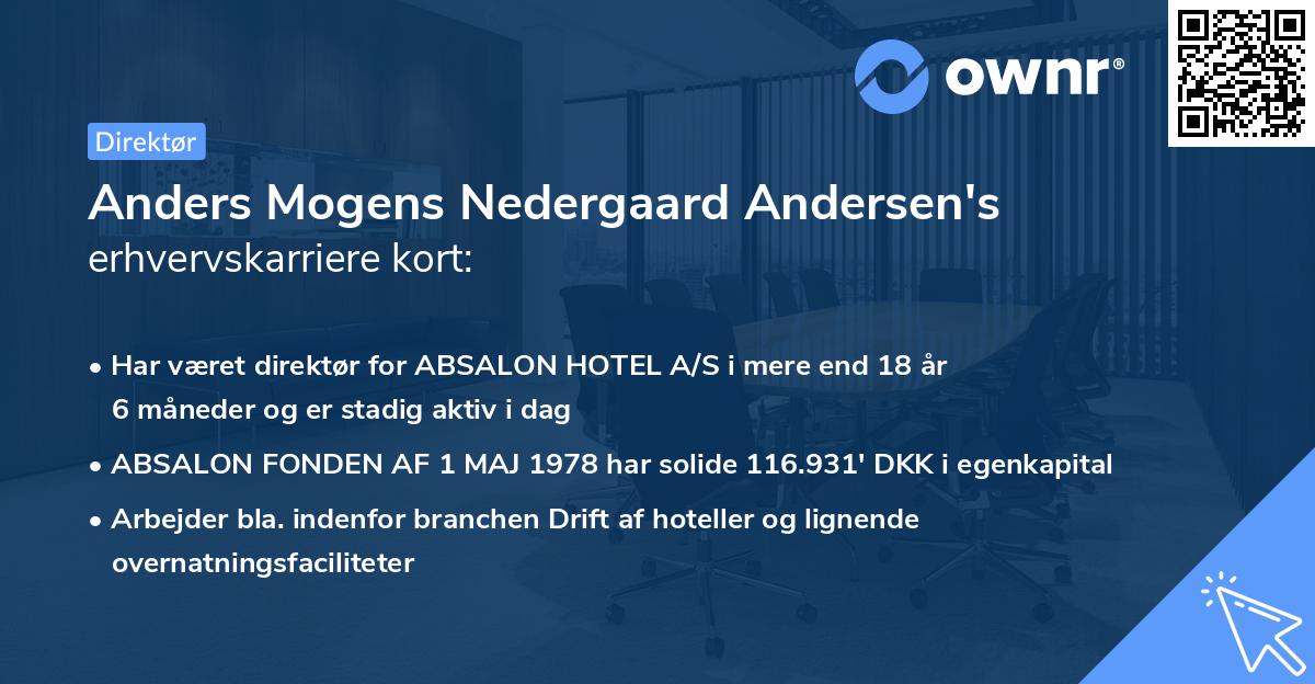 Anders Mogens Nedergaard Andersen's erhvervskarriere kort