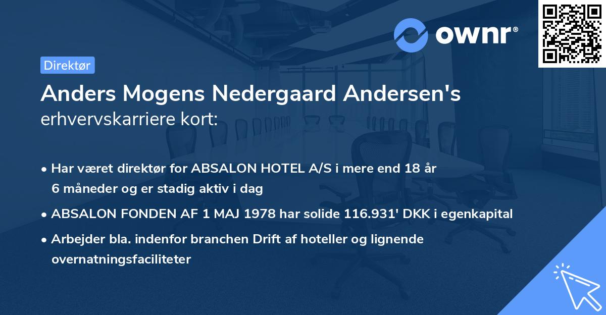 Anders Mogens Nedergaard Andersen's erhvervskarriere kort