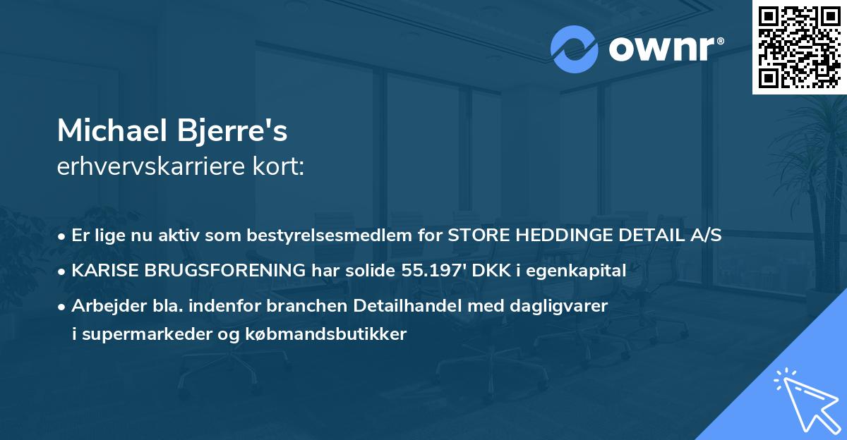 Michael Bjerre's erhvervskarriere kort